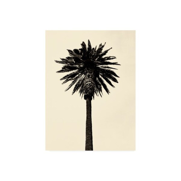 Trademark Fine Art Erik Asla 'Palm Tree 1979 Tan' Canvas Art, 18x24